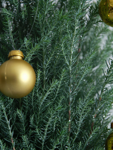 【クリスマス】ローソンヒノキ ”シルバースター”  -ゴールド- Table-L