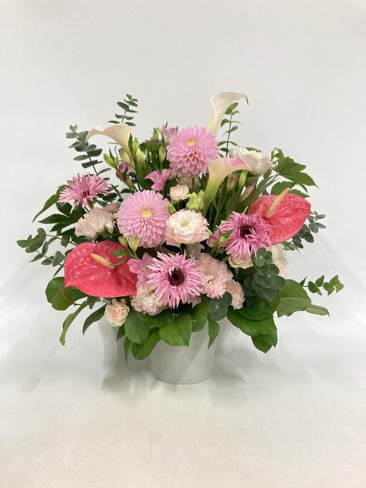 季節のおまかせ生花アレンジ L - ピンク -