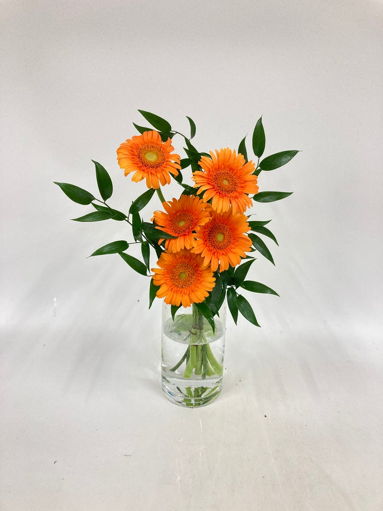 ガーベラの花束 5本 - オレンジ -
