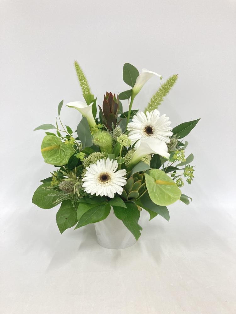季節のおまかせ生花アレンジ M - グリーン&ホワイト -