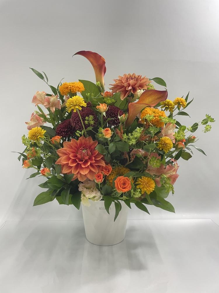 季節のおまかせ生花アレンジ L - オレンジ -