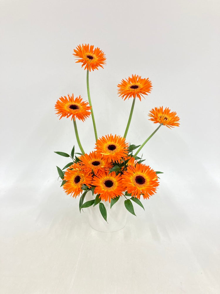 ガーベラのアレンジ 12本 - オレンジ -