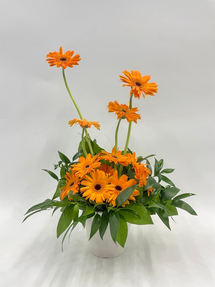 ガーベラのアレンジ 12本 - オレンジ -
