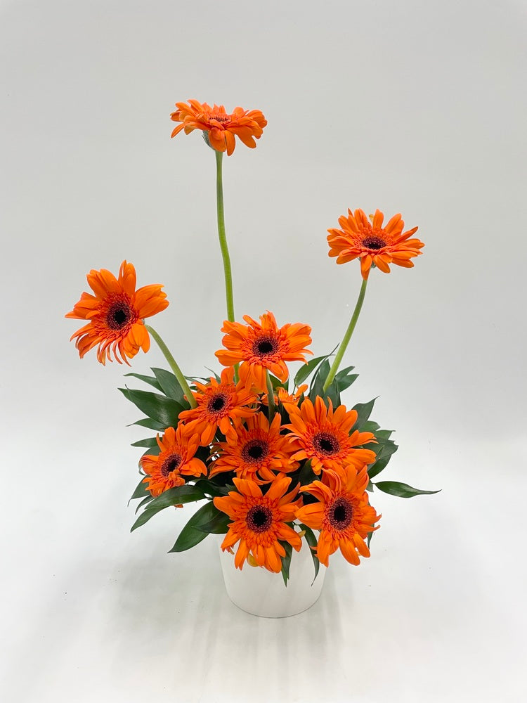ガーベラのアレンジ 12本 - オレンジ -