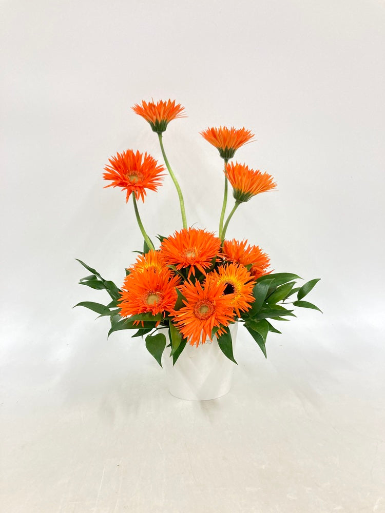 ガーベラのアレンジ 12本 - オレンジ -