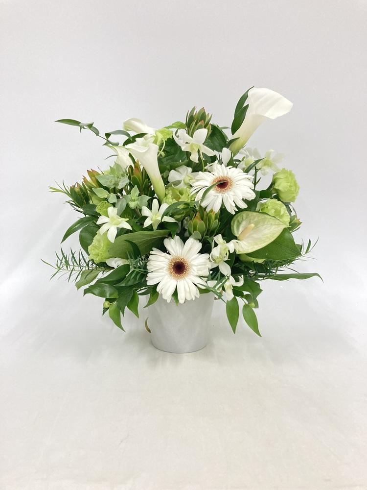 季節のおまかせ生花アレンジ M - グリーン&ホワイト -