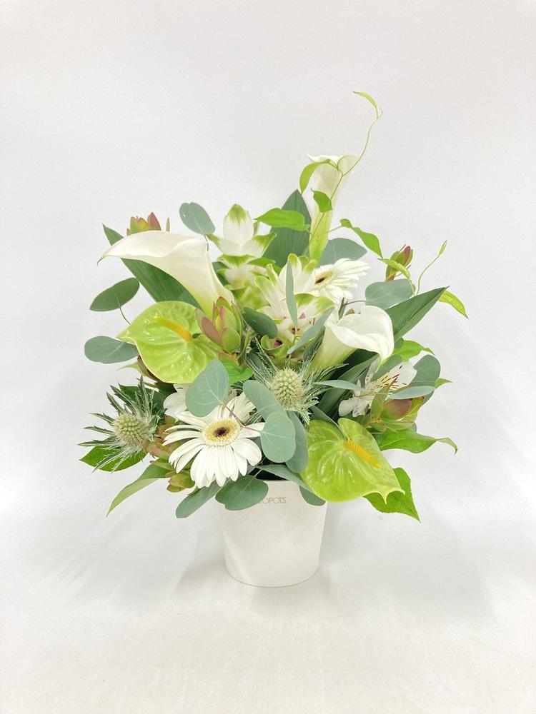 季節のおまかせ生花アレンジ M - グリーン&ホワイト -