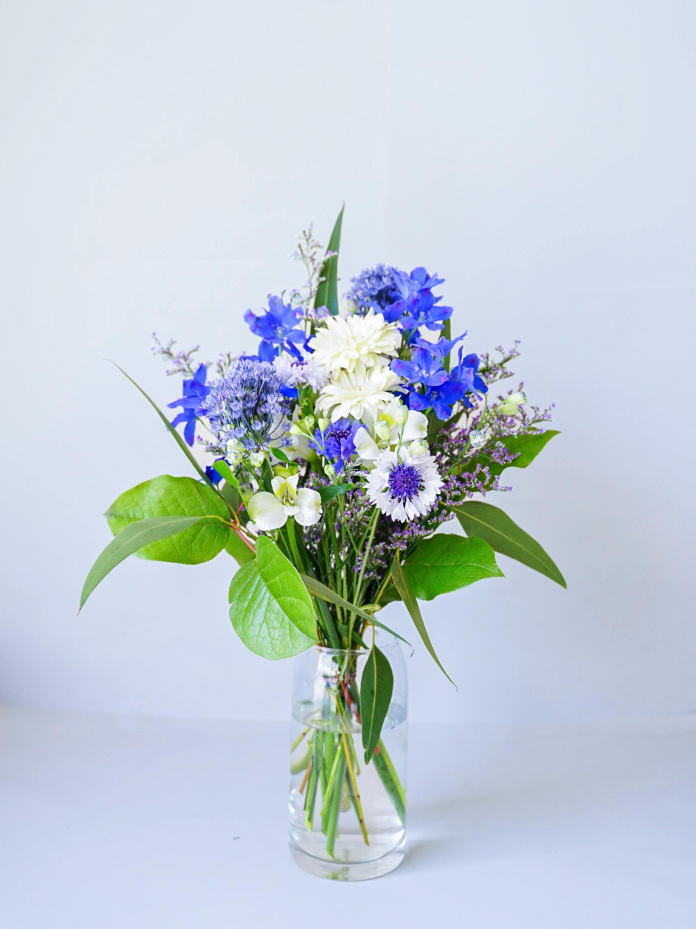 【誕生日ギフト】 フローリストにおまかせ 季節の花束 M - ブルー -