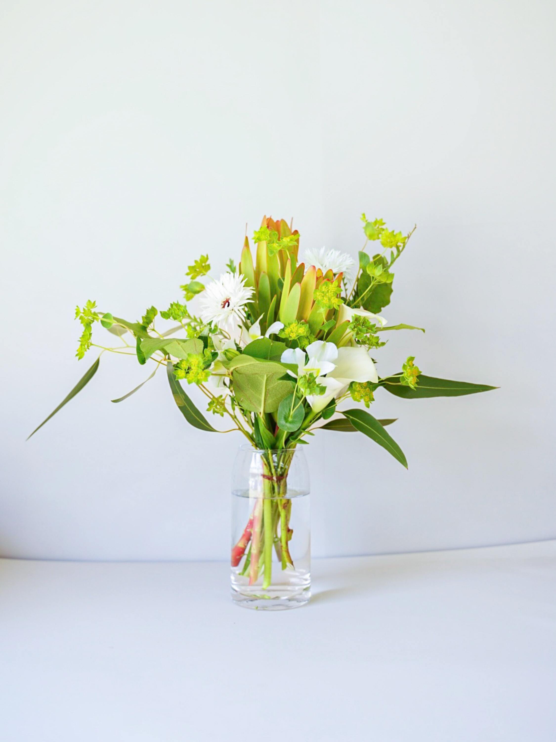 フローリストにおまかせ 季節の花束 M - グリーン&ホワイト -