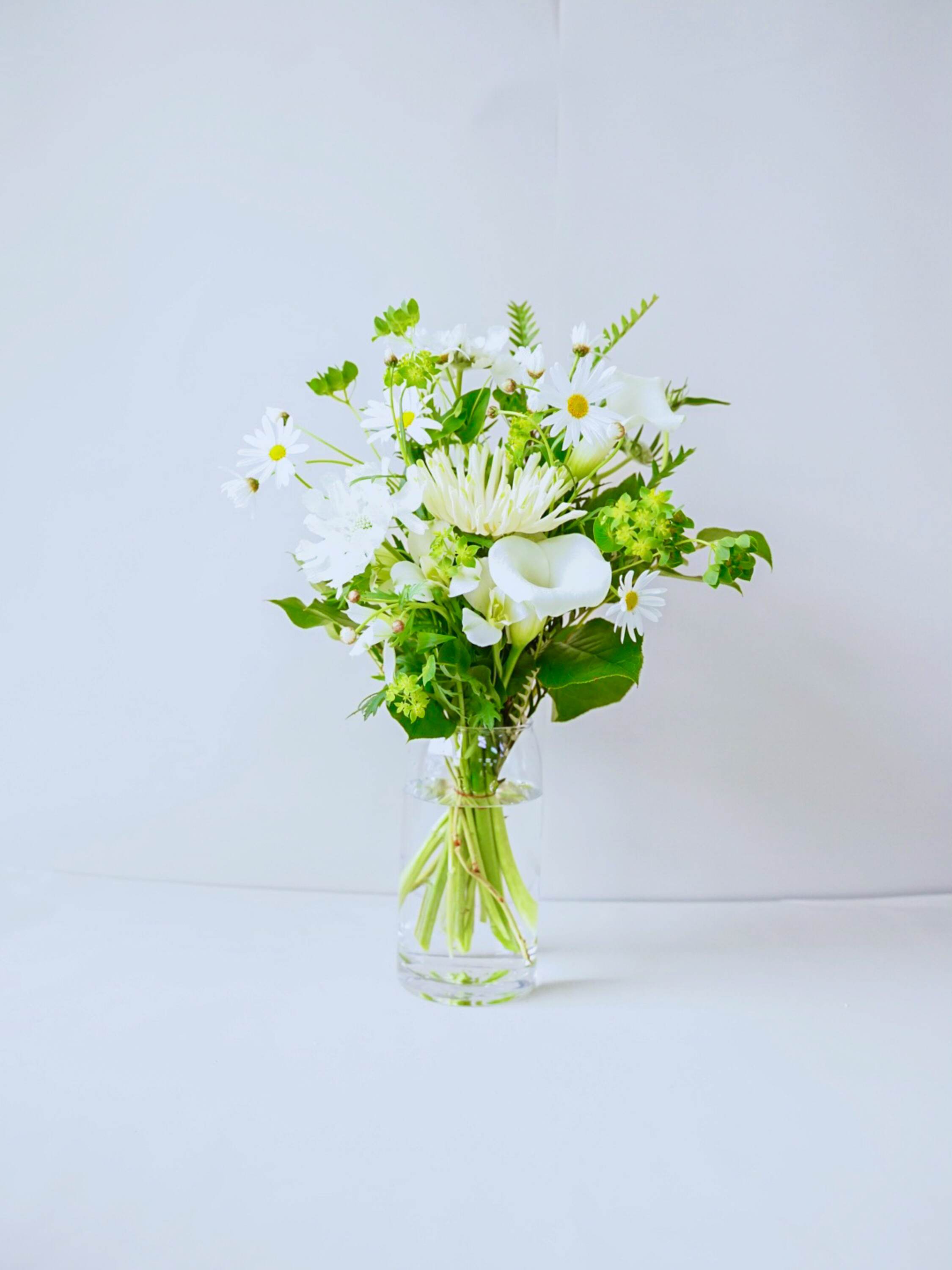 フローリストにおまかせ 季節の花束 M - グリーン&ホワイト -