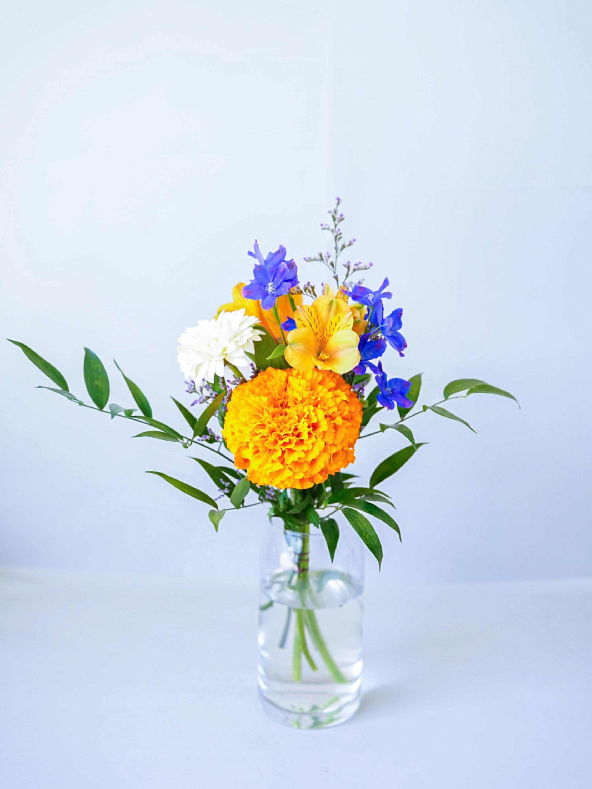 【誕生日ギフト】 フローリストにおまかせ 季節の花束 S - ミックス -