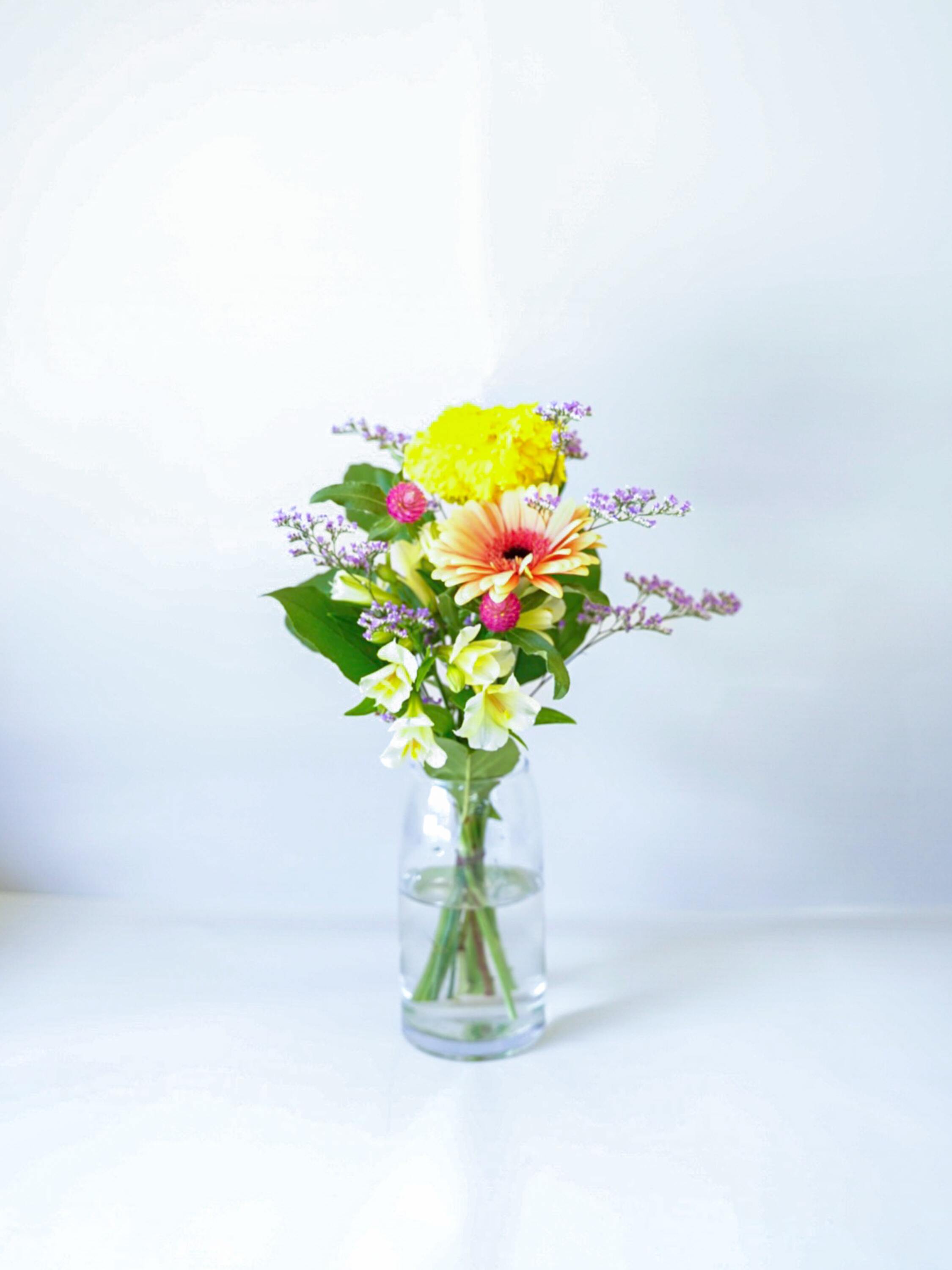 【誕生日ギフト】 フローリストにおまかせ 季節の花束 S - ミックス -