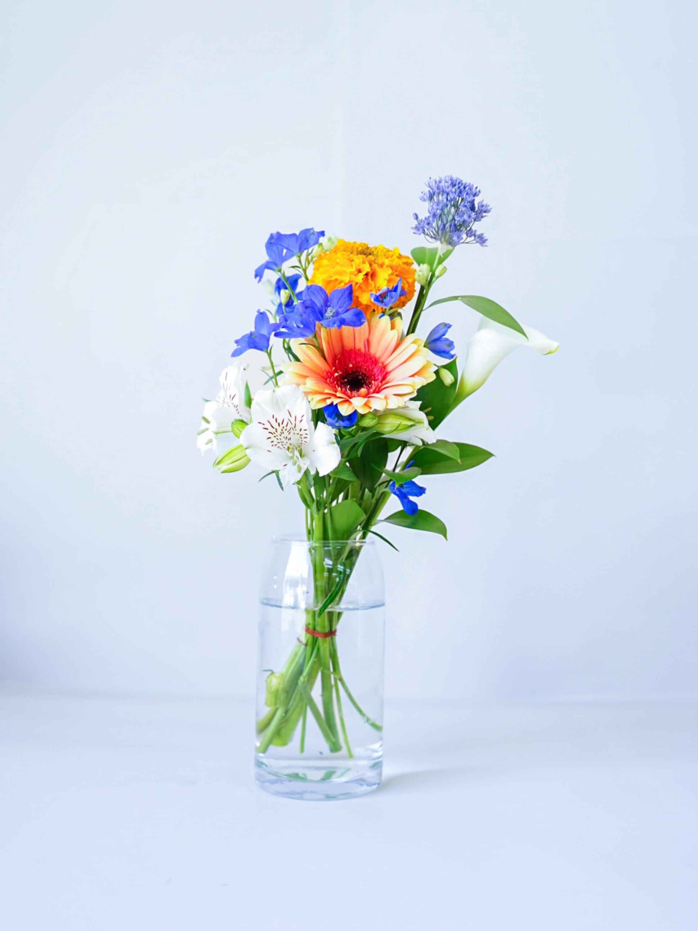 【誕生日ギフト】 フローリストにおまかせ 季節の花束 S - ミックス -