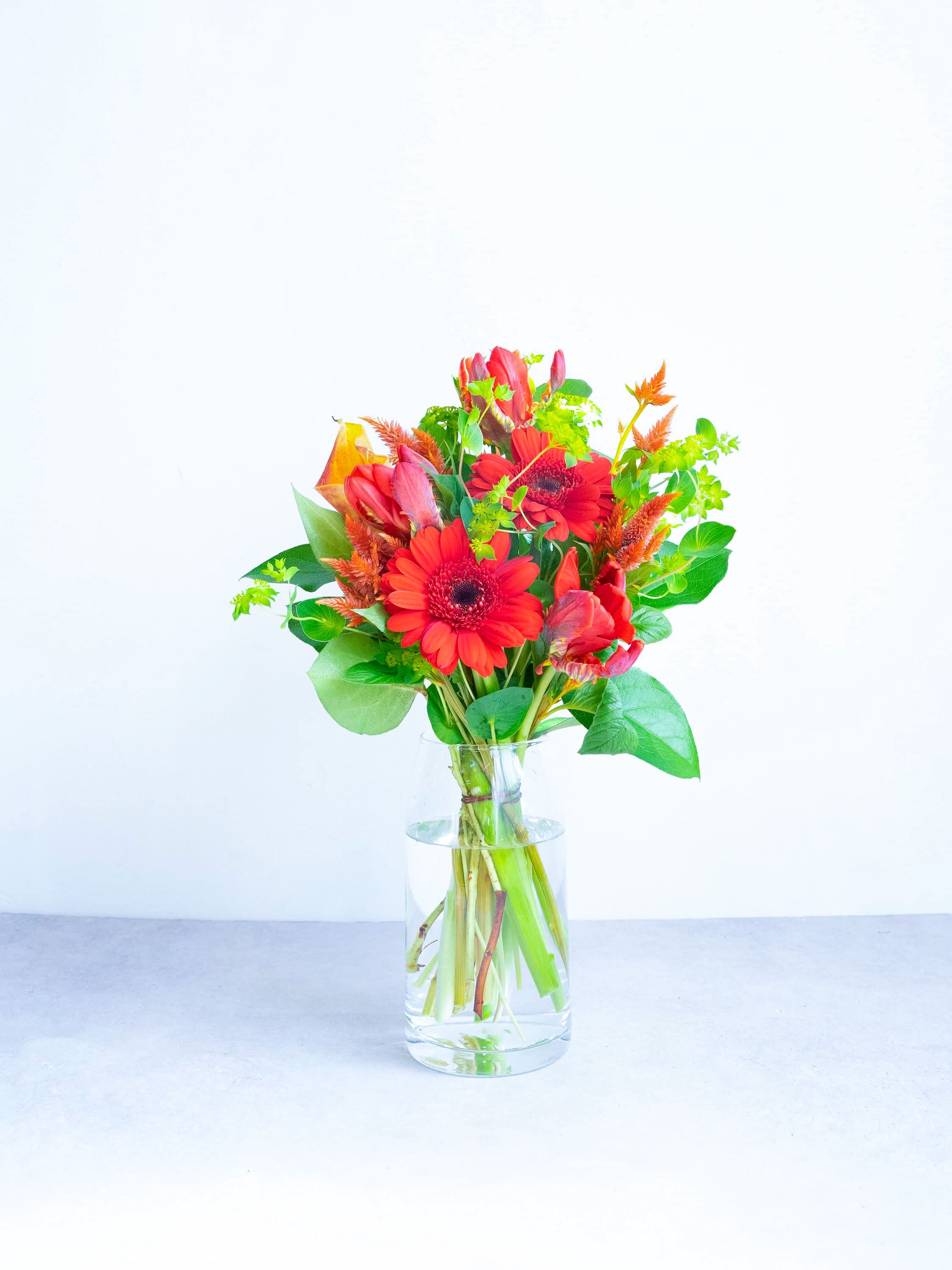 【誕生日ギフト】 フローリストにおまかせ 季節の花束 M - レッド -