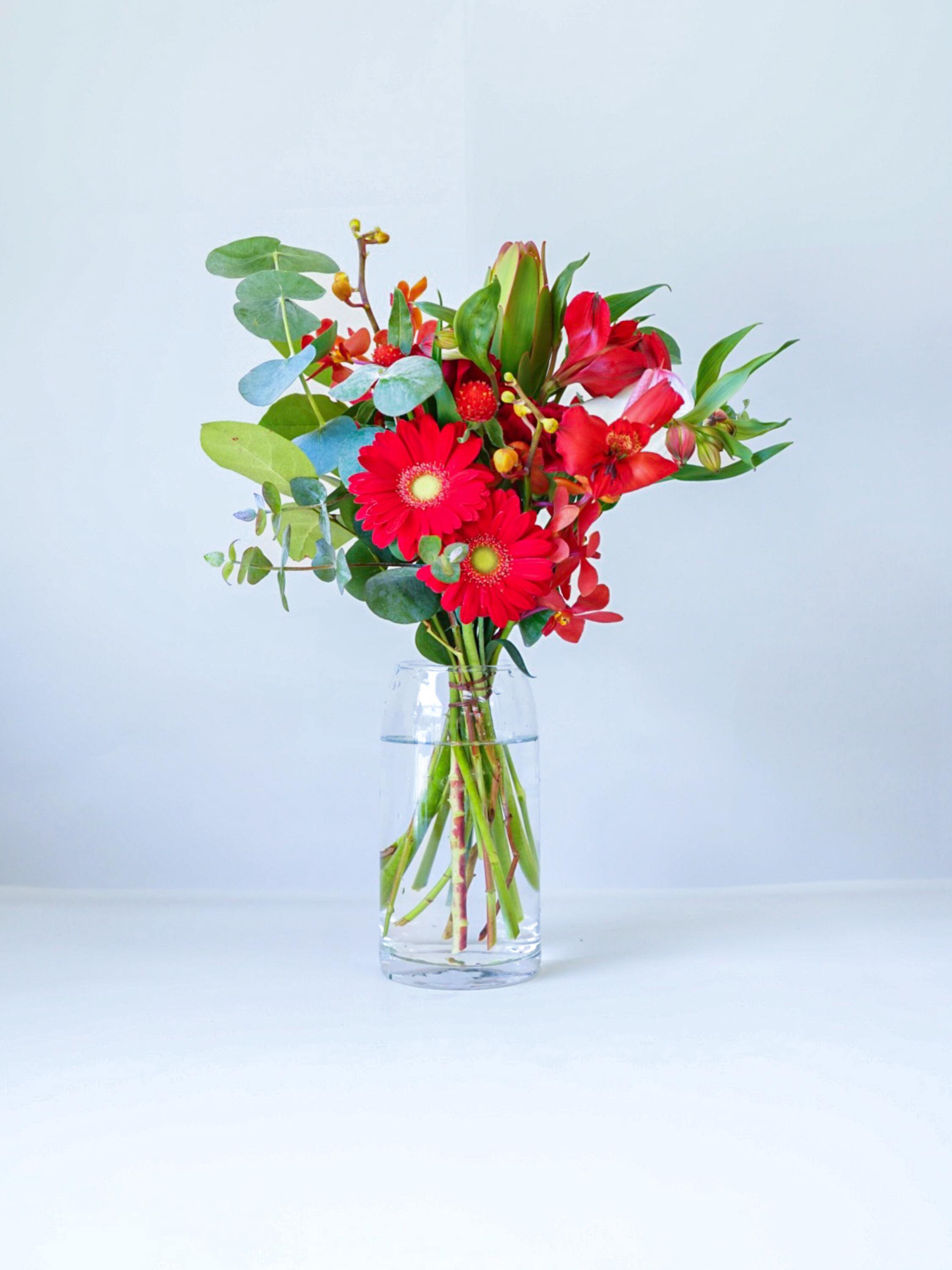 【誕生日ギフト】 フローリストにおまかせ 季節の花束 M - レッド -