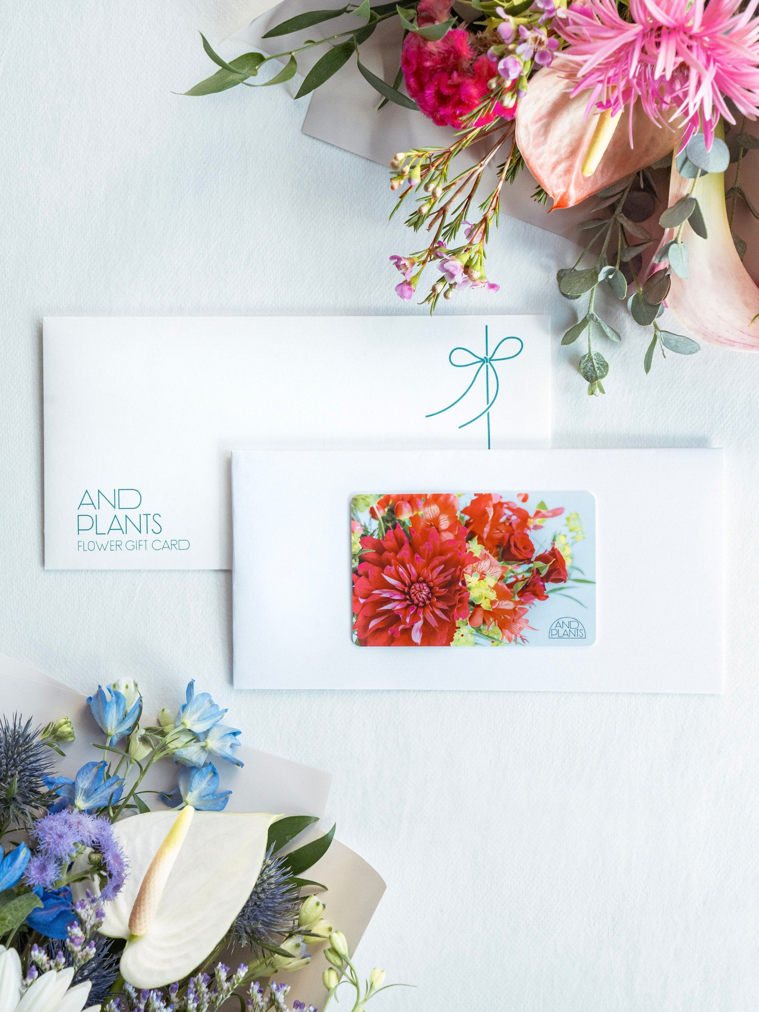 【フラワーギフトカード】AND PLANTS Flower Gift card Light