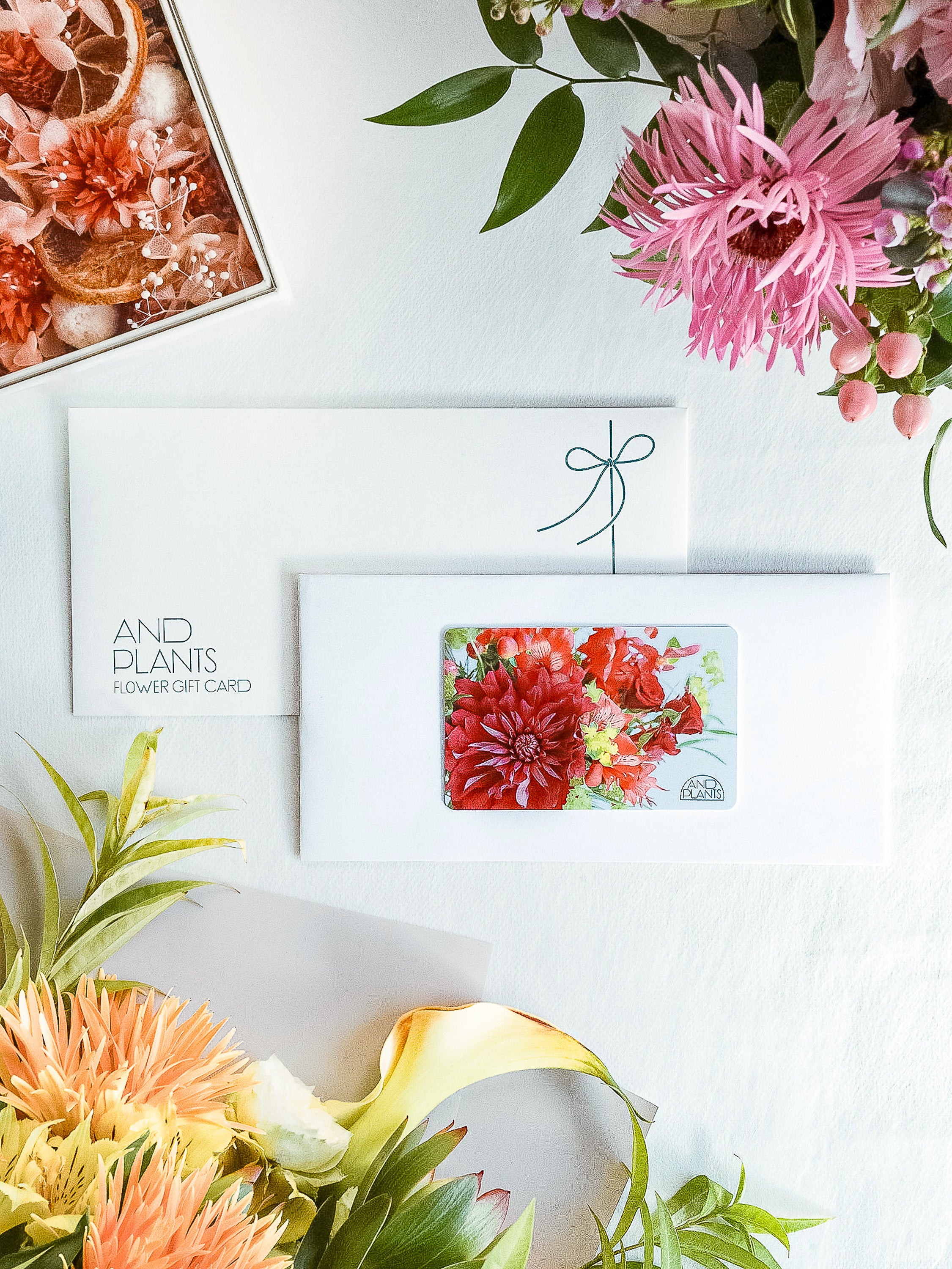 【フラワーギフトカード】AND PLANTS Flower Gift card Medium