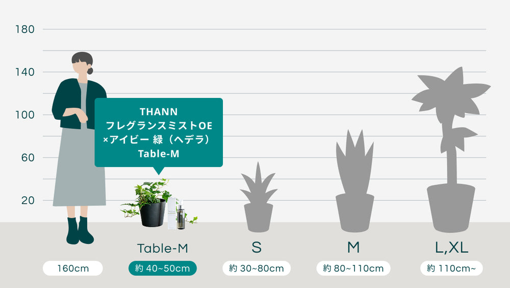 THANNフレグランスミストOE×アイビー 緑（ヘデラ） Table-Mのサイズ