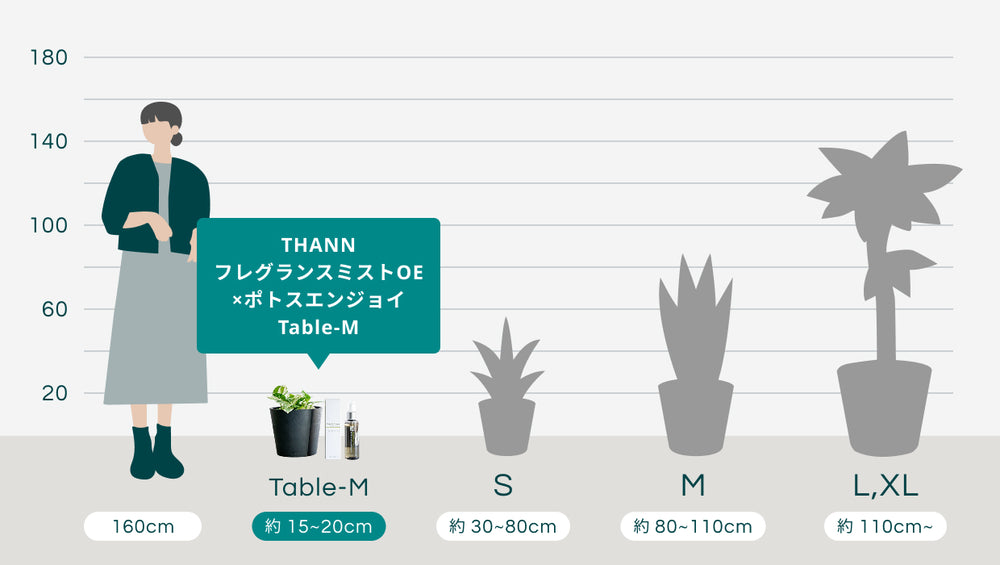 THANNフレグランスミストOE×ポトスエンジョイ Table-Mのサイズ