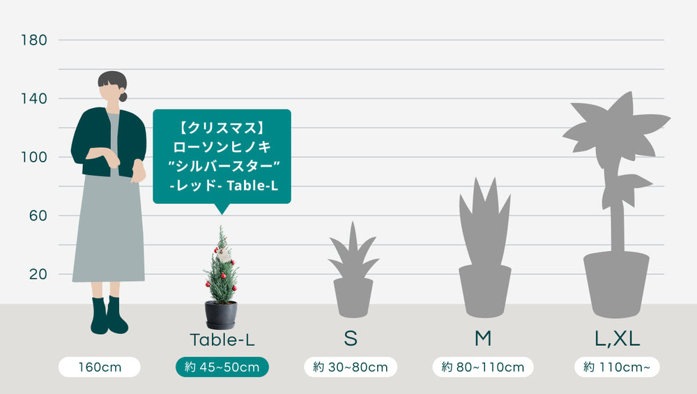 【クリスマス】ローソンヒノキ ”シルバースター”  -レッド- Table-Lのサイズ