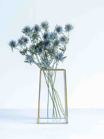 ドライ花材 エリンジューム マグネーター