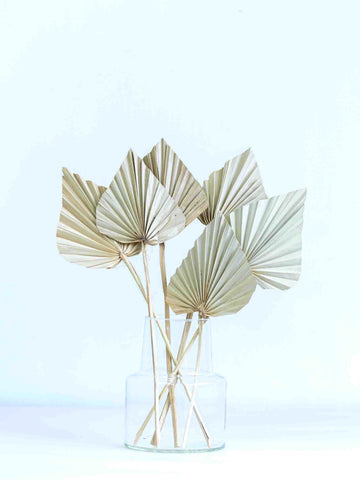 ドライ花材 パームスペード ナチュラル