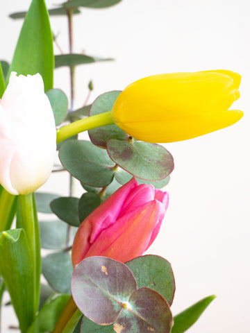 【2月の誕生花】チューリップの花束 7本 - MIX -