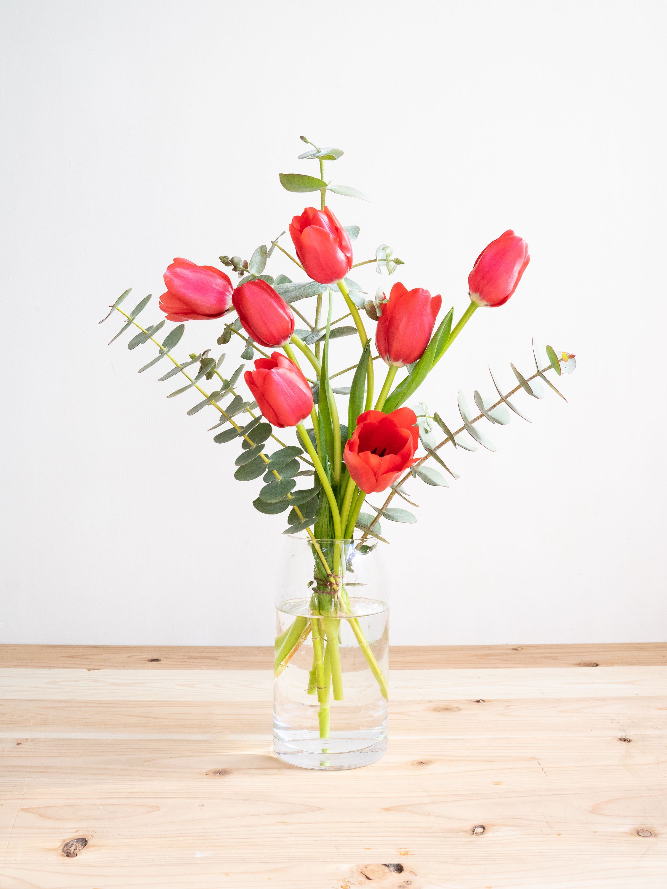 【2月の誕生花】チューリップの花束 7本 - レッド -