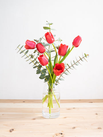 【2月の誕生花】チューリップの花束 7本 - レッド -