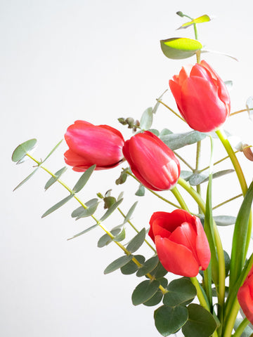 【2月の誕生花】チューリップの花束 7本 - レッド -