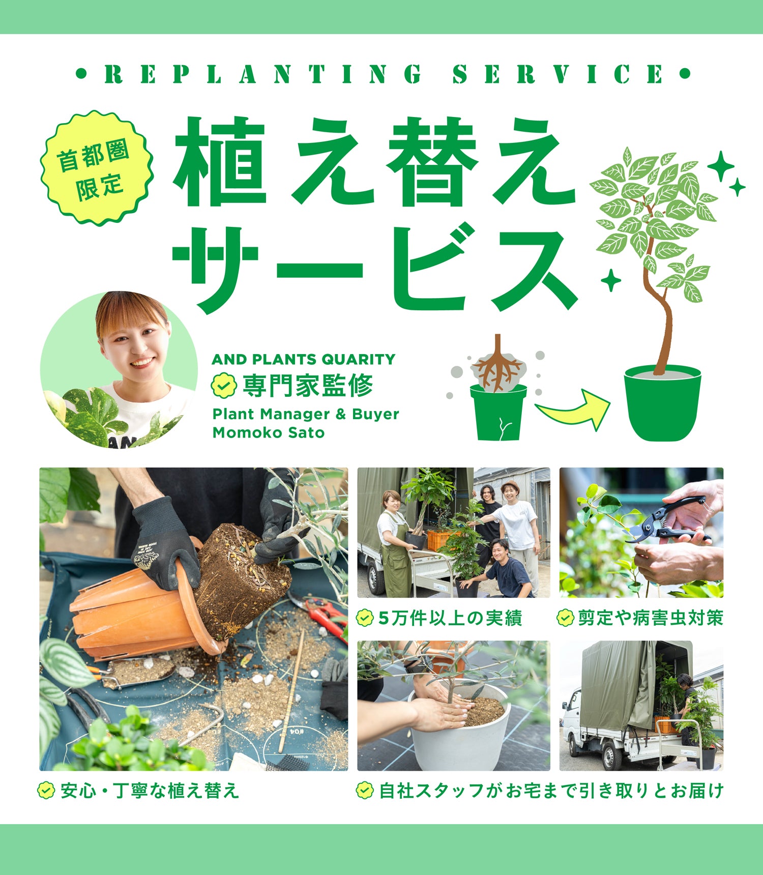 植え替えサービス