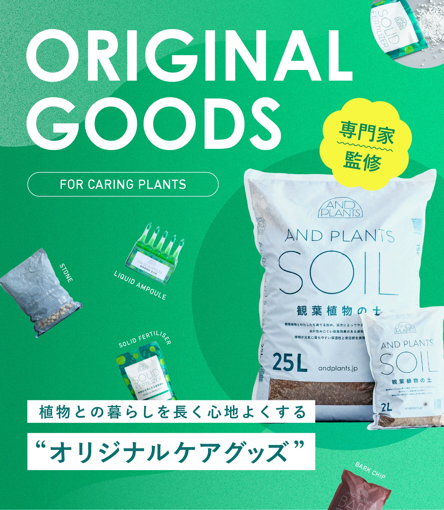 AND PLANTS (アンドプランツ) | 観葉植物・お花の通販