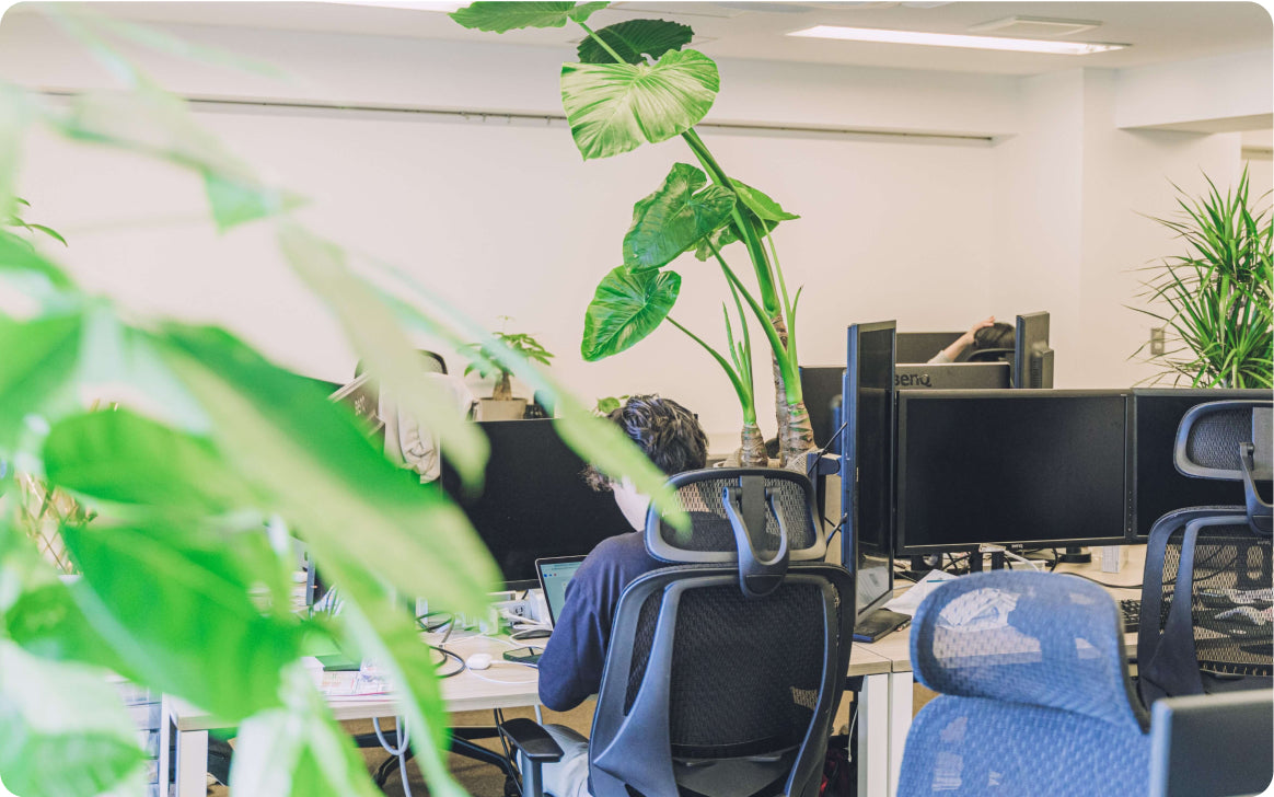 株式会社koujitsu様オフィスコーディネート2