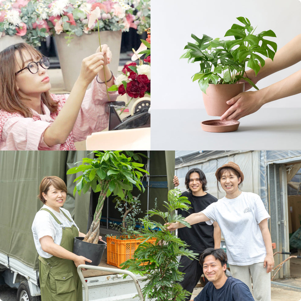 sunflowers_service_img_03