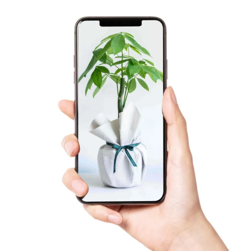 sunflowers_features_img_02