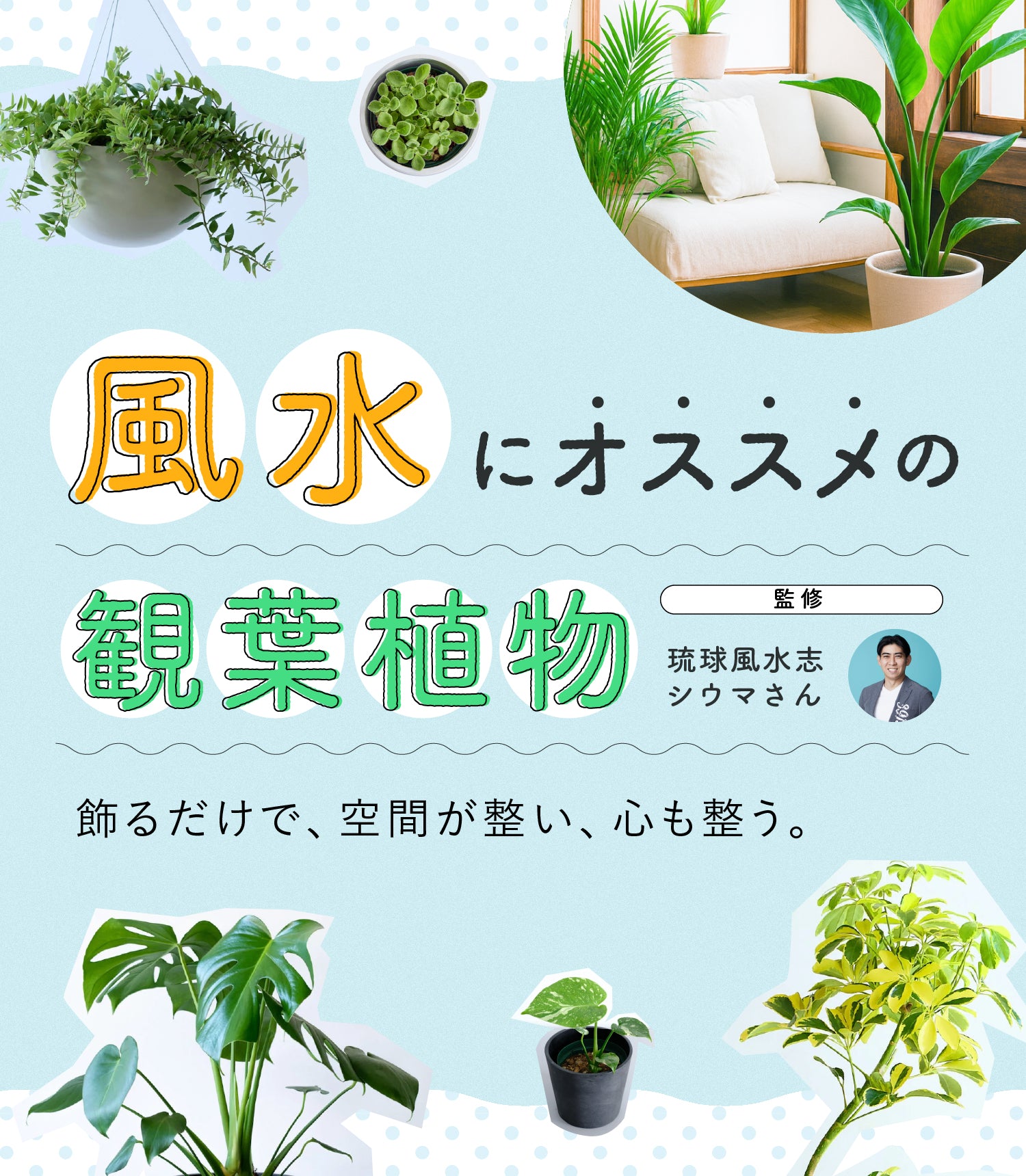 観葉植物を風水で選ぶ