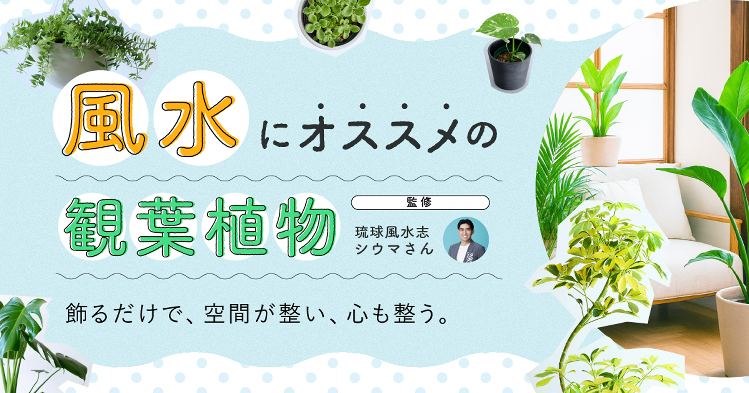 風水に効果的な観葉植物特集