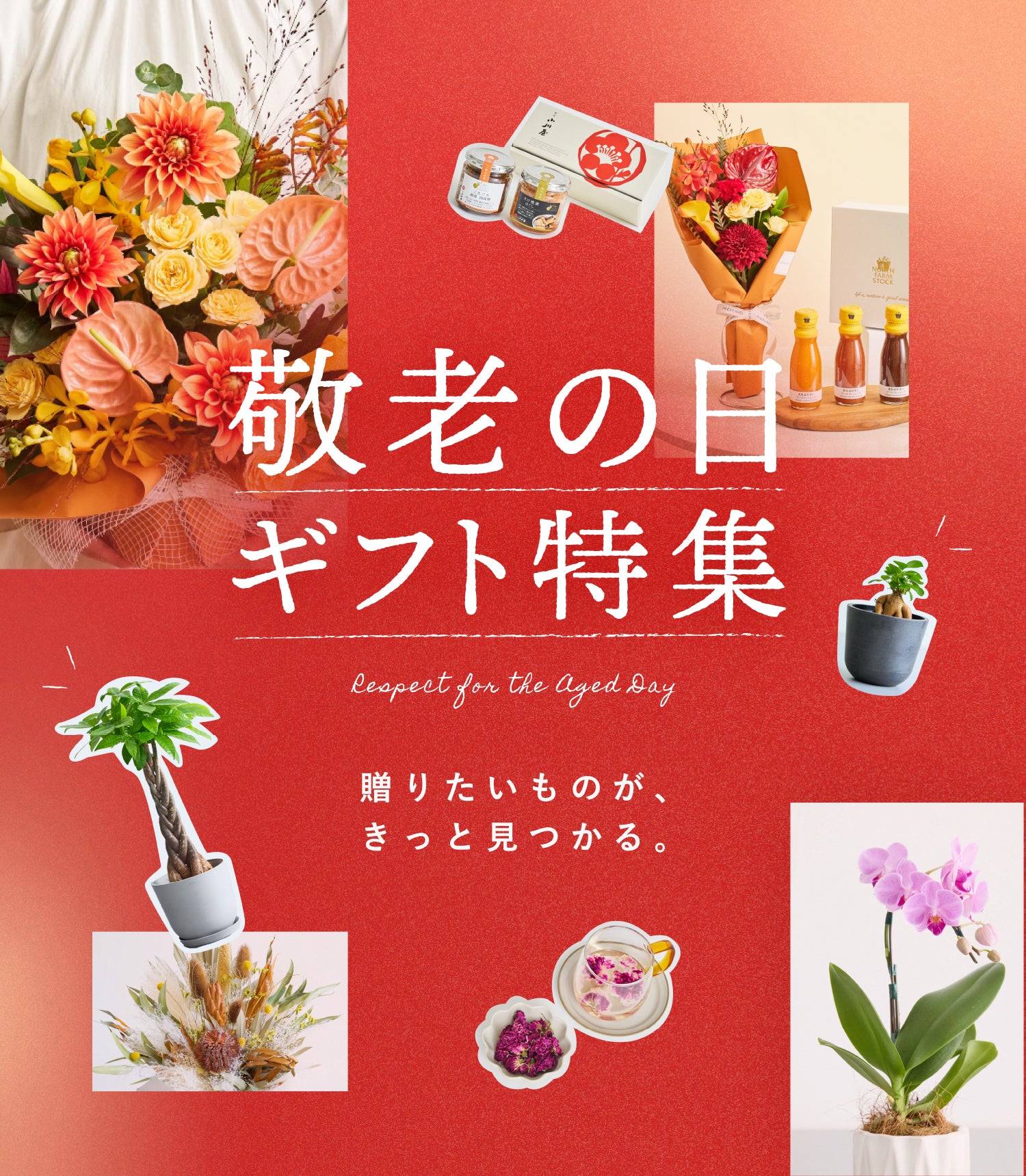 敬老の日ギフト特集