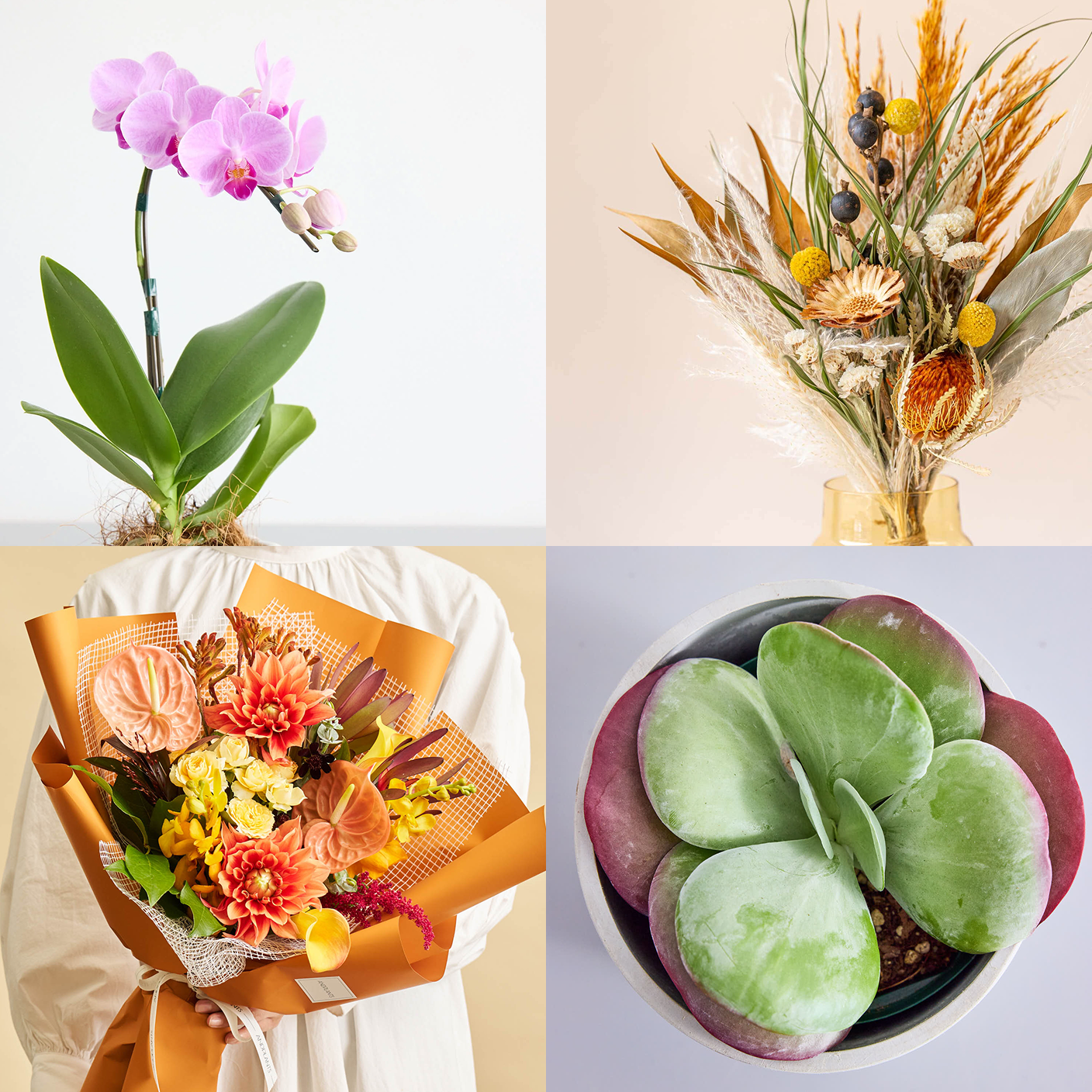 sunflowers_features_img_02