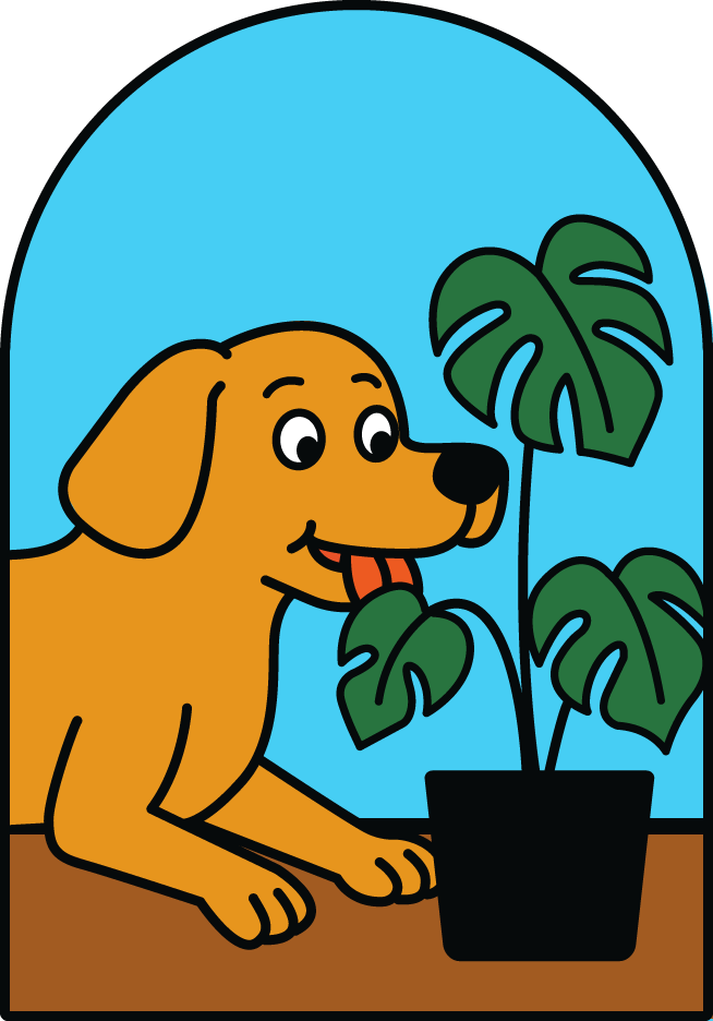 なぜ植物を食べたがるのですか？（食べてしまうのを防ぎたいです）