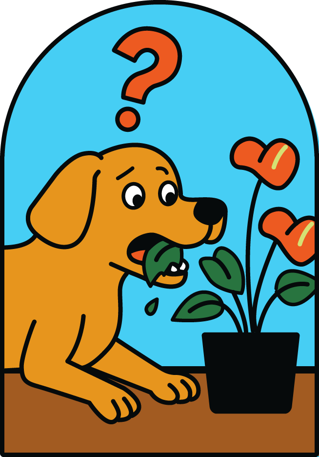 ペットが間違えて葉や土を口にしてしまったら、病気に繋がりますか？