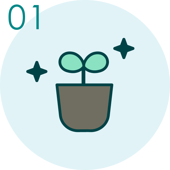 安全な植物を選ぼう