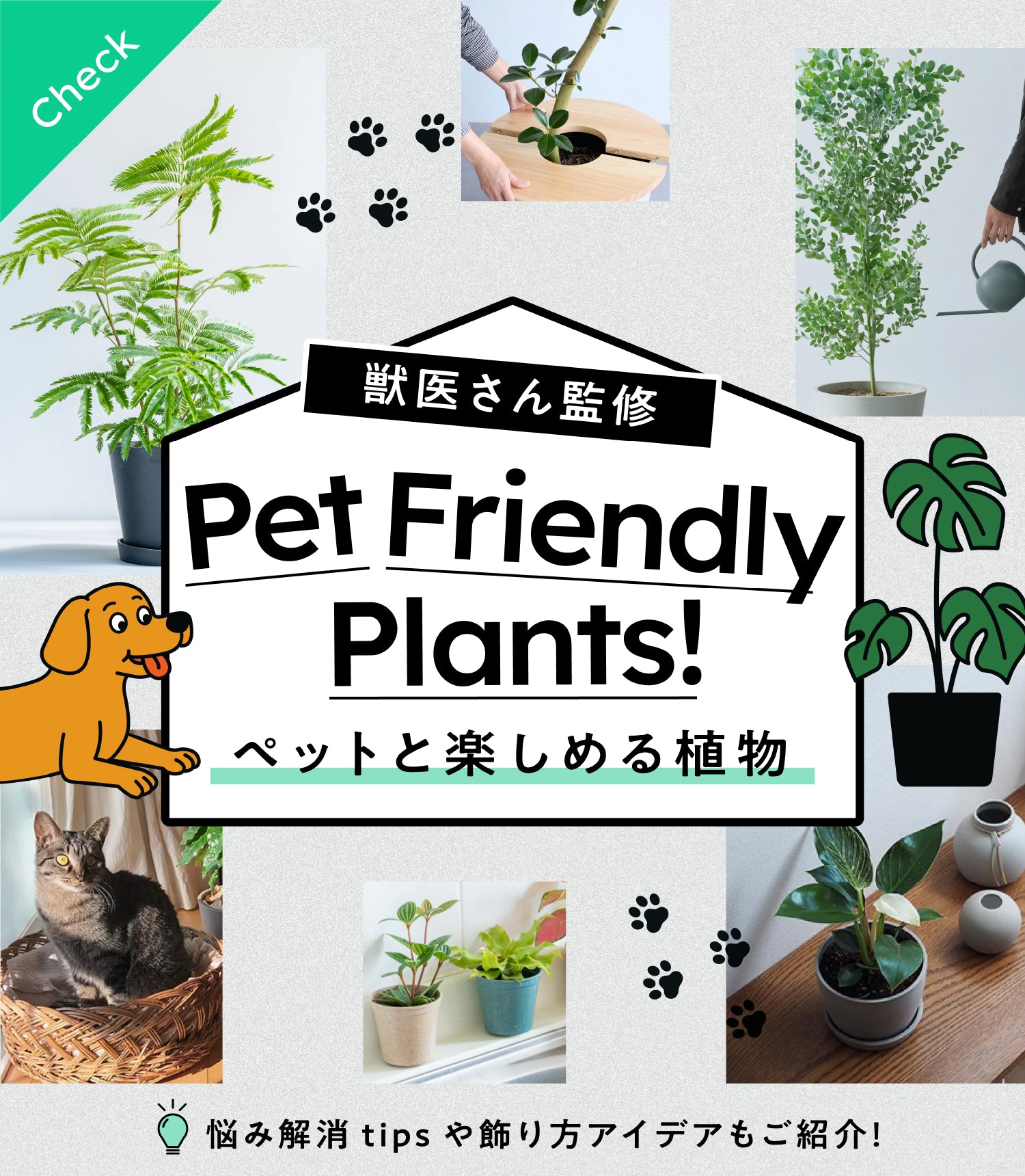 ペットと楽しめる安全な植物