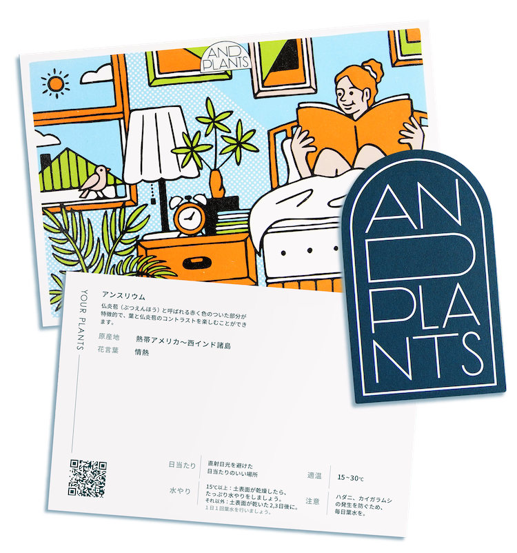 月ごとに替わるケアカード | 観葉植物ブランドAND PLANTS