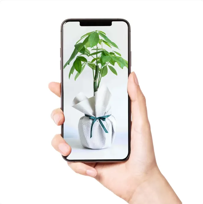 配送前の写真送付