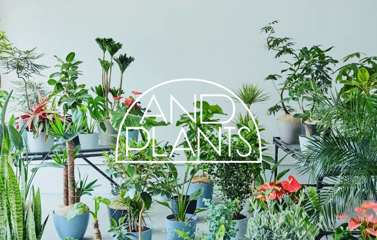 andplants