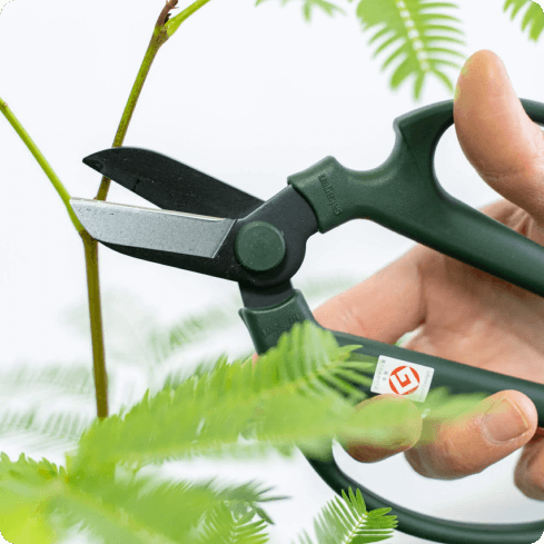 その他園芸グッズ