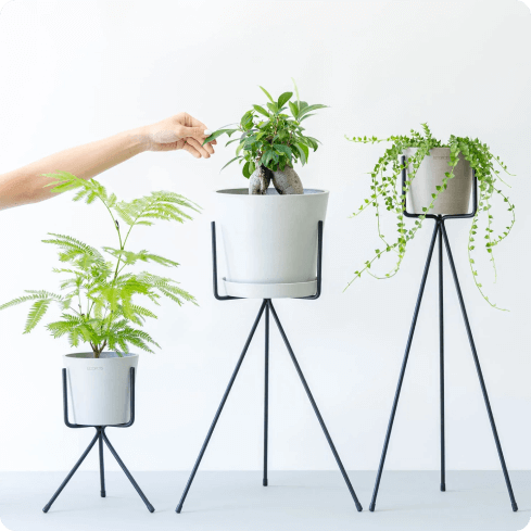 インテリア用品