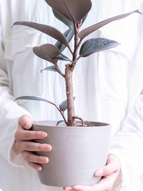 鉢カバー・植木鉢