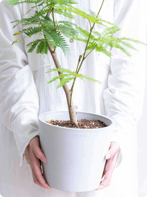 鉢カバー・植木鉢